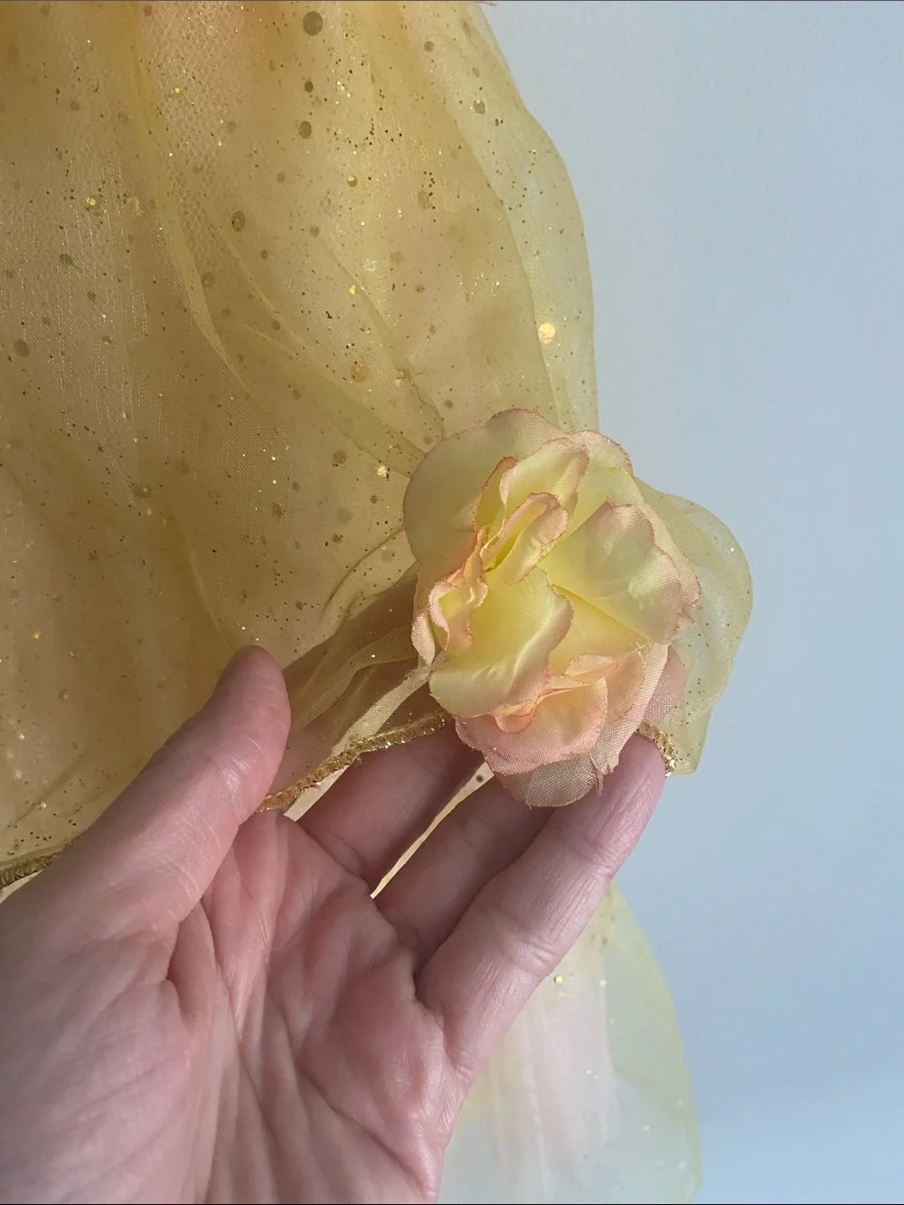 Disney Store Princess Belle dress size 4 little girl With roses Pink and yellow